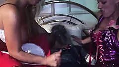 Savannah Gold and Cindy Behr fuck in threesome with their