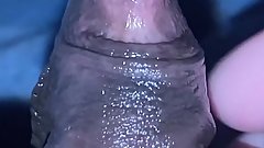 Stroking my Big Clit