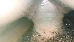 My school friend full foki chudai video my house and seen now.